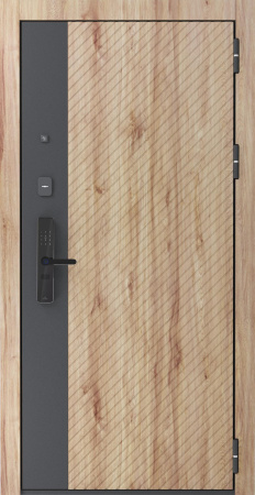 CYBER S 300